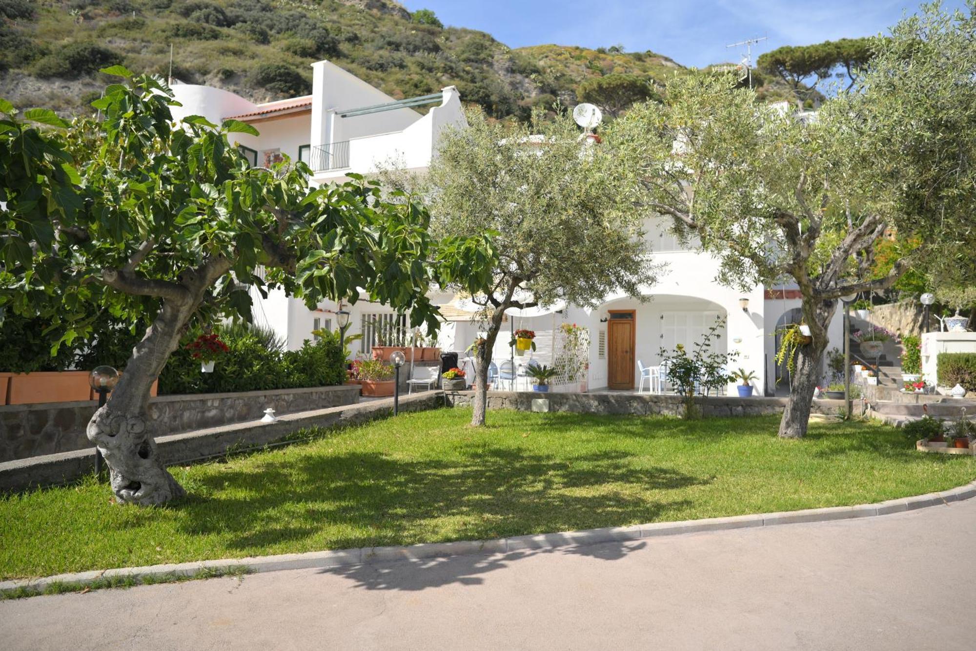 Blu Maronti Appartement Barano dʼIschia Buitenkant foto