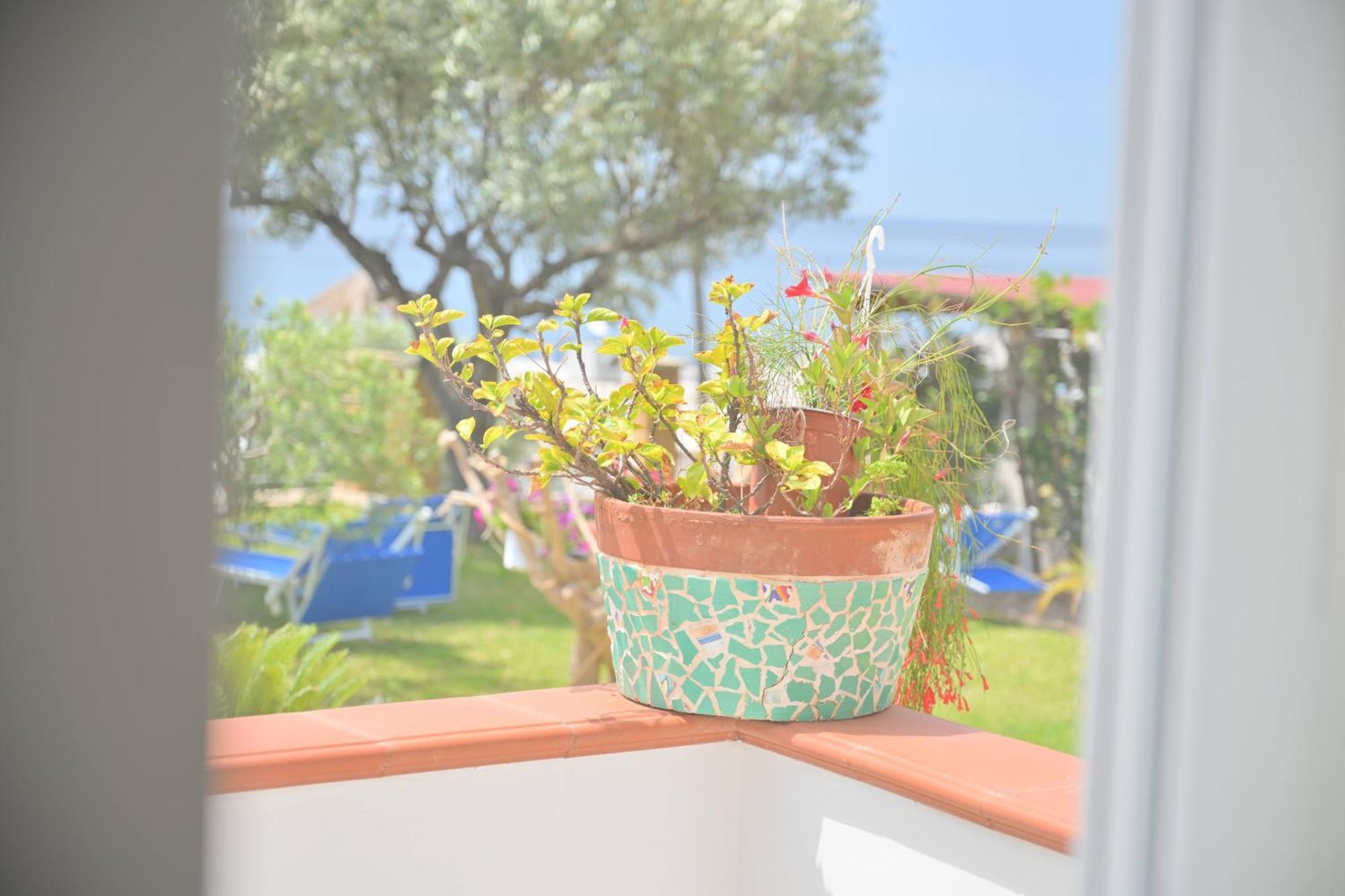 Blu Maronti Appartement Barano dʼIschia Buitenkant foto