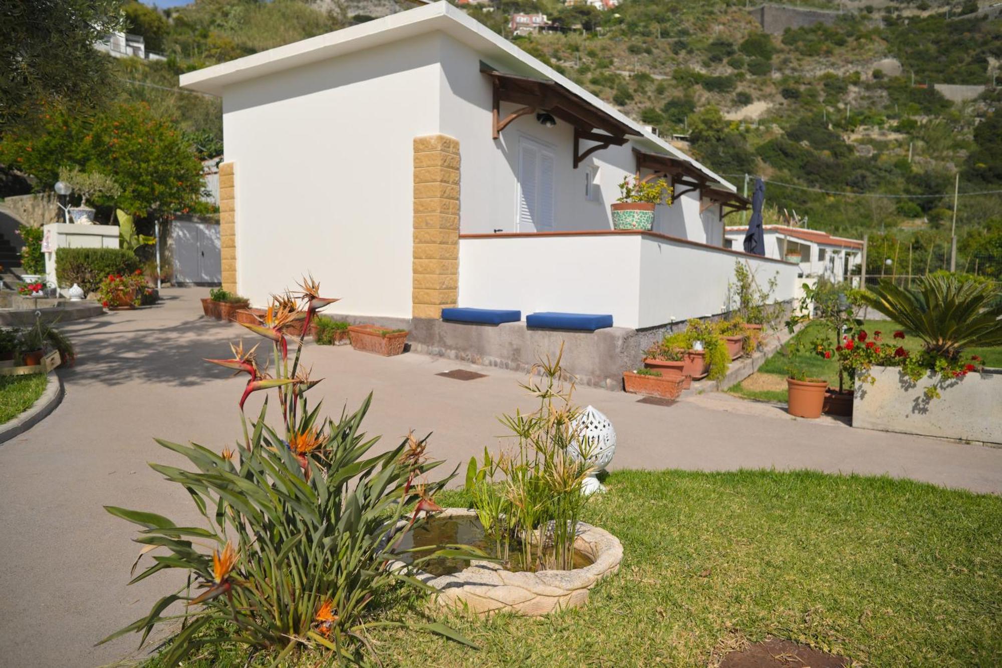 Blu Maronti Appartement Barano dʼIschia Buitenkant foto